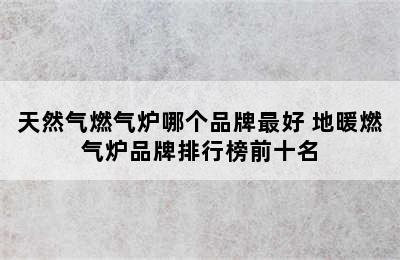 天然气燃气炉哪个品牌最好 地暖燃气炉品牌排行榜前十名